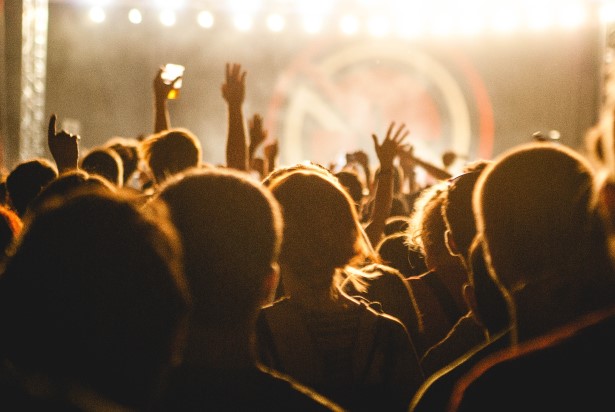 Audience at a concert