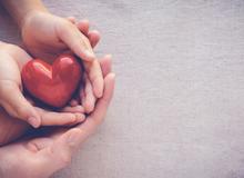 Hands of child and adult holding a red heart