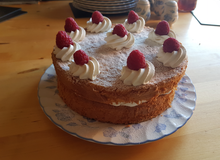 Sponge cake with strawberries